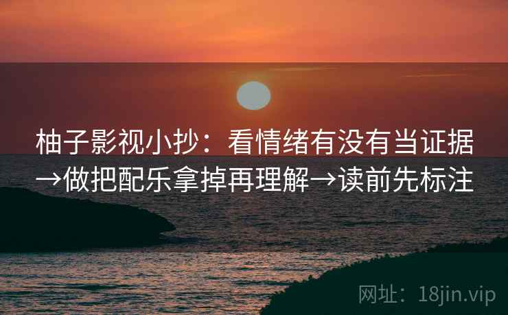 柚子影视小抄：看情绪有没有当证据→做把配乐拿掉再理解→读前先标注